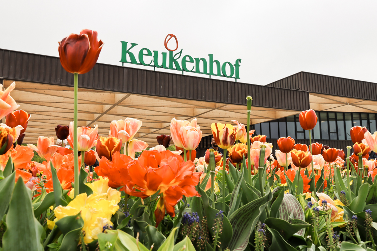 KEUKENHOF GARDENS – COMO VISITAR O JARDIM DE TULIPAS NA HOLANDA ...